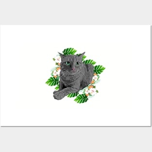 Carribean Polydactyl Kitty Posters and Art